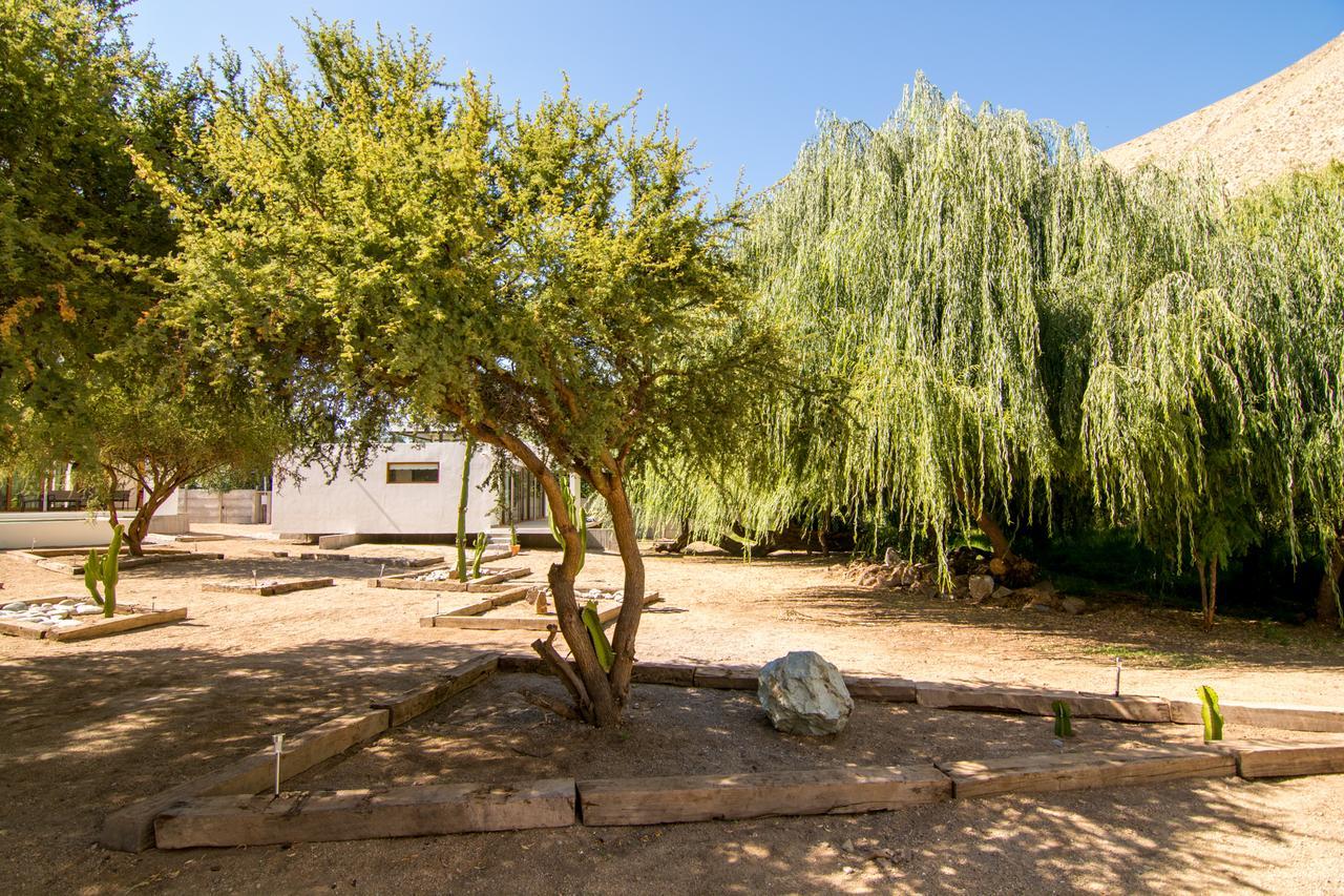 Aldea Del Valle - Elqui Villas, Pisco Elqui Exterior photo